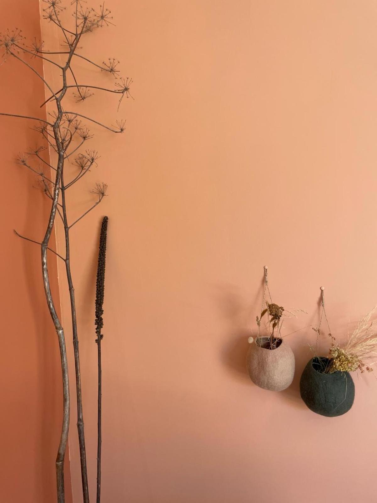 Les Petites Maisons Sotta Εξωτερικό φωτογραφία